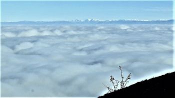 Au-dessus de la mer de nuages, les sommets des Alpes de Haute Provence