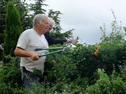 Marc D. et Francis taillent un arbuste 