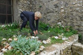 Florence Perrot plante des bulbes de narcisses et de tulipes sauvages