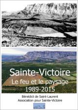 L'incendie de 1989, 25 ans après, une étude publiée par Bénédict de Saint-Laurent pour l'ASV
