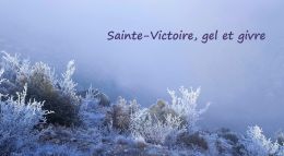 Février 2018, gel et givre en Sainte-Victoire